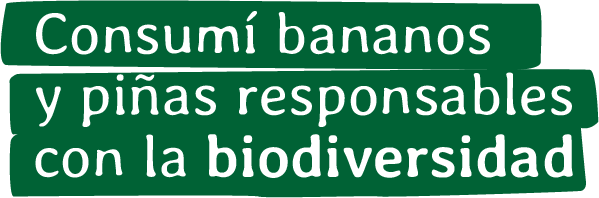 Consumí bananos y piñas responsables con la biodiversidad