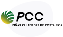logo pcc