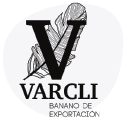 logo Varcli